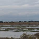 קפריסין מזהירה מפני אובדן מים באגם פולימי